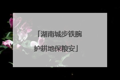 湖南城步铁腕护耕地保粮安