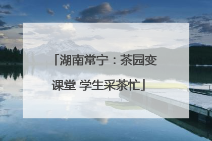 湖南常宁：茶园变课堂 学生采茶忙