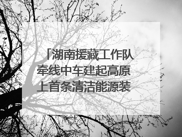 湖南援藏工作队牵线中车建起高原上首条清洁能源装配产线，本地大学生成车间检验员