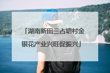 湖南新田三占塘村金银花产业兴旺促振兴