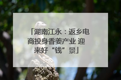 湖南江永：返乡电商投身香姜产业 迎来好“钱”景