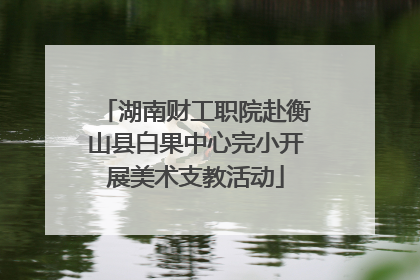 湖南财工职院赴衡山县白果中心完小开展美术支教活动