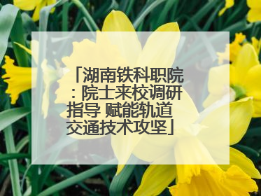 湖南铁科职院：院士来校调研指导 赋能轨道交通技术攻坚