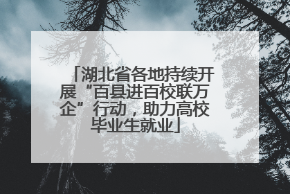 湖北省各地持续开展“百县进百校联万企”行动，助力高校毕业生就业