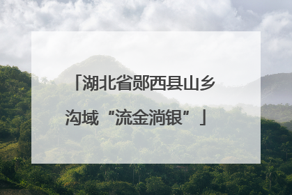 湖北省郧西县山乡沟域“流金淌银”