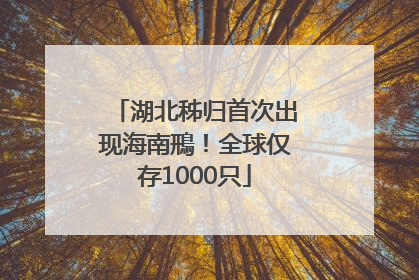 湖北秭归首次出现海南鳽！全球仅存1000只