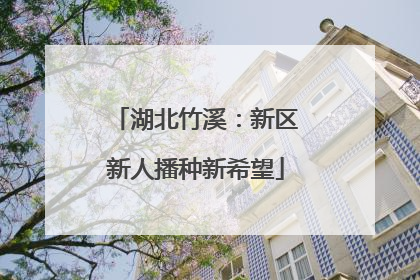 湖北竹溪：新区新人播种新希望