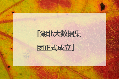 湖北大数据集团正式成立