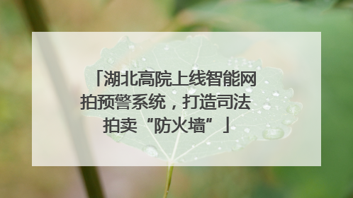 湖北高院上线智能网拍预警系统，打造司法拍卖“防火墙”
