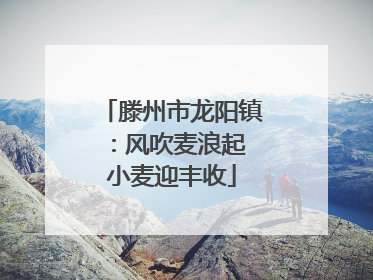 滕州市龙阳镇：风吹麦浪起 小麦迎丰收