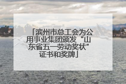 滨州市总工会为公用事业集团颁发“山东省五一劳动奖状”证书和奖牌