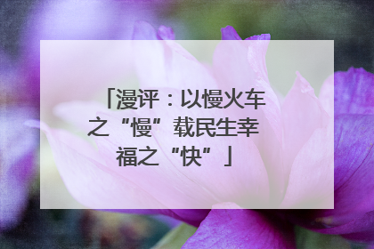 漫评：以慢火车之“慢”载民生幸福之“快”