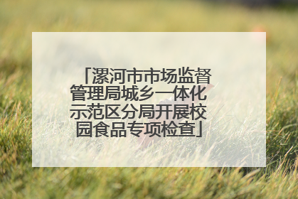 漯河市市场监督管理局城乡一体化示范区分局开展校园食品专项检查