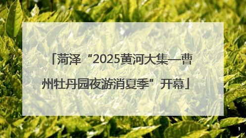 菏泽“2025黄河大集—曹州牡丹园夜游消夏季”开幕