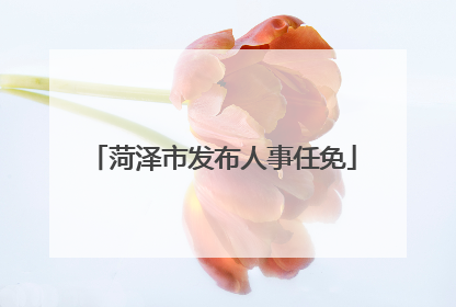 菏泽市发布人事任免