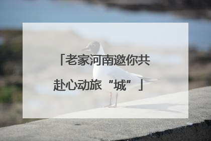 老家河南邀你共赴心动旅“城”