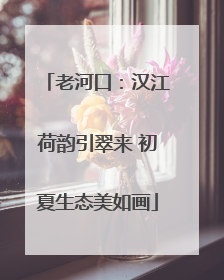 老河口：汉江荷韵引翠来 初夏生态美如画