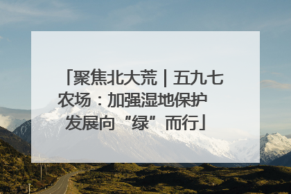 聚焦北大荒｜五九七农场：加强湿地保护 发展向“绿”而行