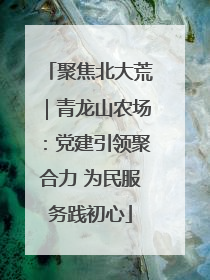 聚焦北大荒｜青龙山农场：党建引领聚合力 为民服务践初心
