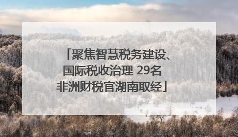 聚焦智慧税务建设、国际税收治理 29名非洲财税官湖南取经