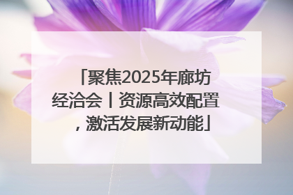 聚焦2025年廊坊经洽会丨资源高效配置，激活发展新动能