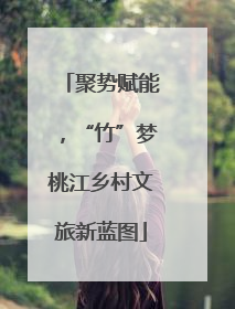聚势赋能，“竹”梦桃江乡村文旅新蓝图