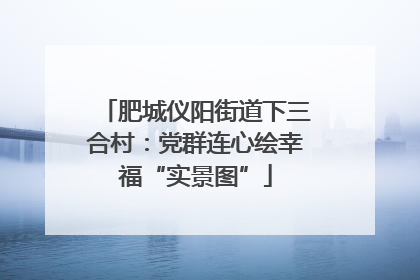 肥城仪阳街道下三合村：党群连心绘幸福“实景图”