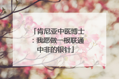 肯尼亚中医博士：我愿做一根联通中非的银针