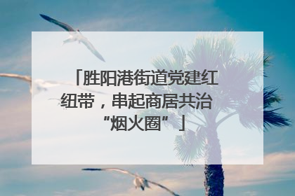 胜阳港街道党建红纽带，串起商居共治 “烟火圈”