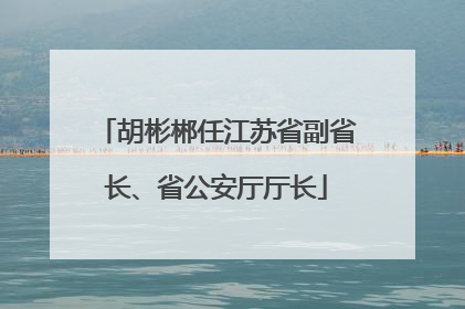 胡彬郴任江苏省副省长、省公安厅厅长