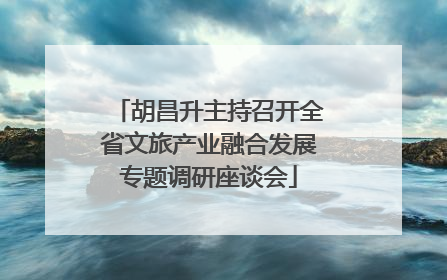 胡昌升主持召开全省文旅产业融合发展专题调研座谈会
