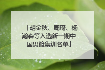 胡金秋、周琦、杨瀚森等入选新一期中国男篮集训名单
