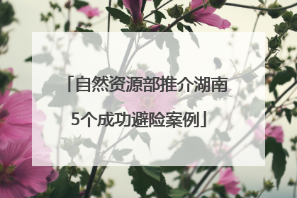 自然资源部推介湖南5个成功避险案例