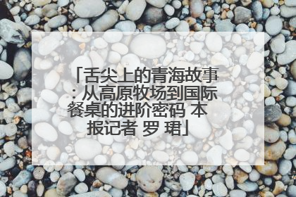 舌尖上的青海故事：从高原牧场到国际餐桌的进阶密码 本报记者 罗 珺