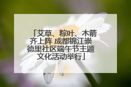 艾草、粽叶、木箭齐上阵 成都锦江崇德里社区端午节主题文化活动举行