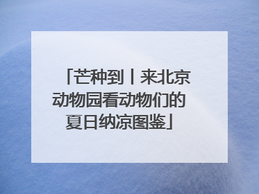 芒种到丨来北京动物园看动物们的夏日纳凉图鉴