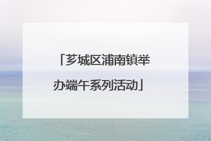 芗城区浦南镇举办端午系列活动