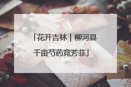 花开吉林｜柳河县千亩芍药竞芳菲