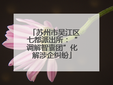 苏州市吴江区七都派出所：“调解智囊团”化解涉企纠纷