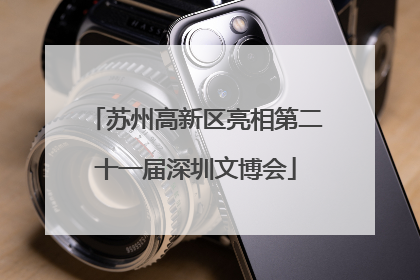 苏州高新区亮相第二十一届深圳文博会