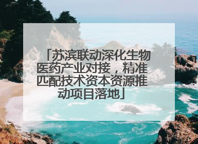 苏滨联动深化生物医药产业对接，精准匹配技术资本资源推动项目落地