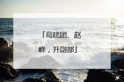 葛建团、赵峰，升副部