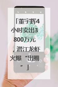 董宇辉4小时卖出3800万元，潜江龙虾火爆“出圈”