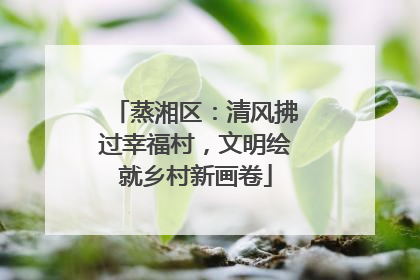 蒸湘区：清风拂过幸福村，文明绘就乡村新画卷