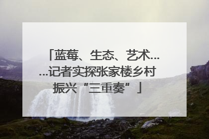 蓝莓、生态、艺术……记者实探张家楼乡村振兴“三重奏”
