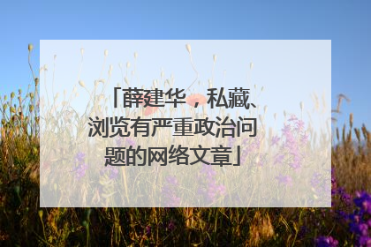 薛建华，私藏、浏览有严重政治问题的网络文章