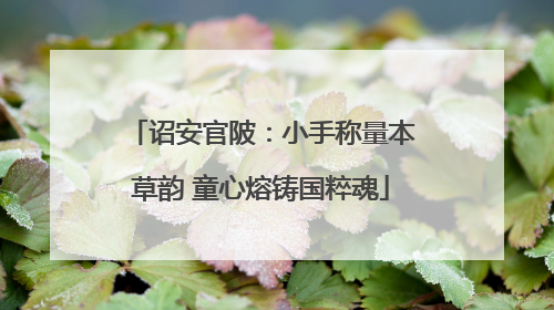 诏安官陂：小手称量本草韵 童心熔铸国粹魂