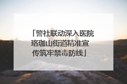 警社联动深入医院 珞珈山街道精准宣传筑牢禁毒防线