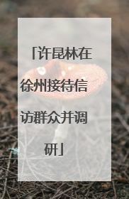许昆林在徐州接待信访群众并调研