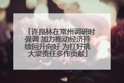 许昆林在常州调研时强调 加力推动经济持续回升向好 为扛好挑大梁责任多作贡献